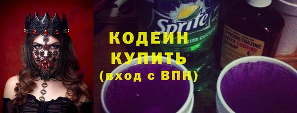шишки Пестово