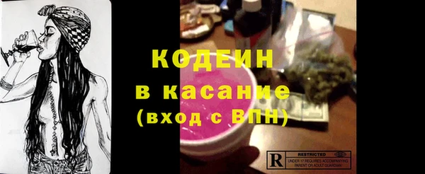 крисы Ельня