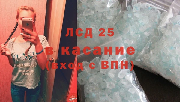 крисы Ельня