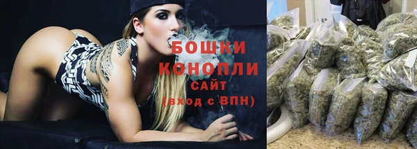 крисы Ельня