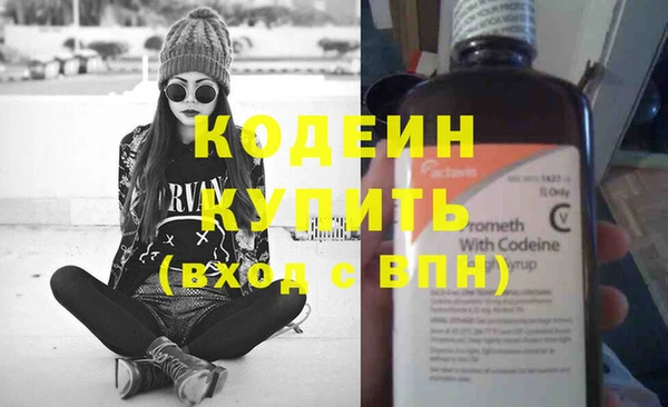 крисы Ельня